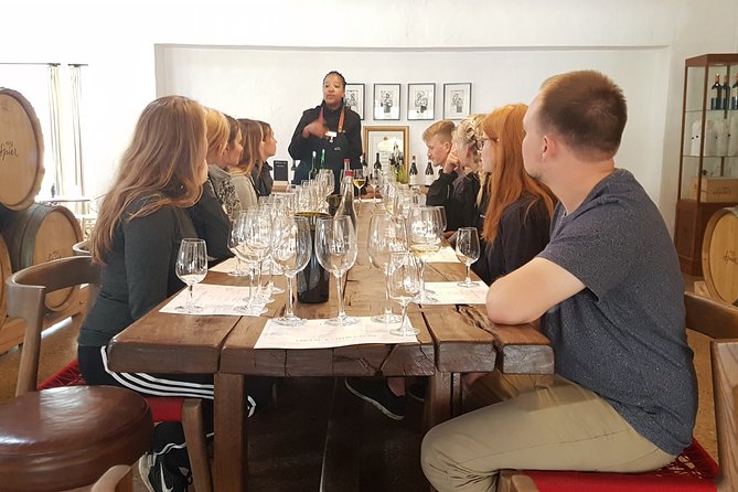 Full day Cape Winelands ( Stellenbosch and Franschoek ) - Cape Winelands in One Tight 8-Hour Day