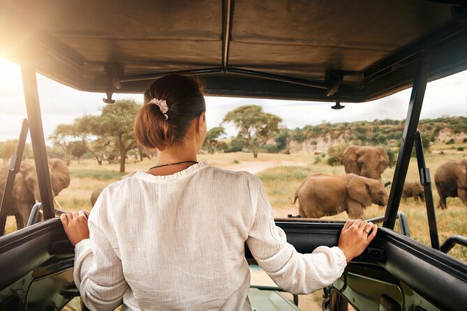 Full Day Exquisite Pilanesberg Safari from Johannesburg - What makes Pilanesberg feel like real safari time