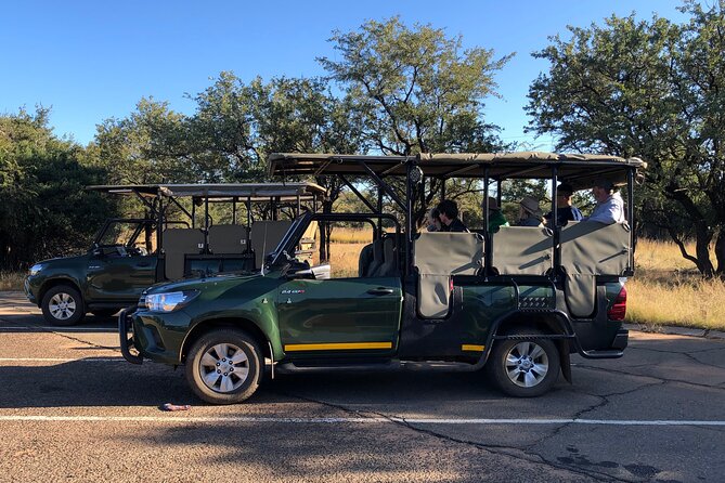 Full Day Exquisite Pilanesberg Safari from Johannesburg - Spotting the Big Five and more: what to look for on your drives