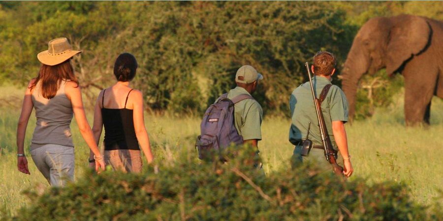 Full Day Hluhluwe Imfolozi Game Reserve Tour from Durban - Your 4x4 game drive, what close encounters really depend on