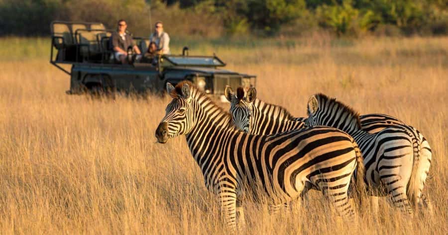 Full Day Hluhluwe Imfolozi Game Reserve Tour from Durban - Value for $226, what you’re really paying for