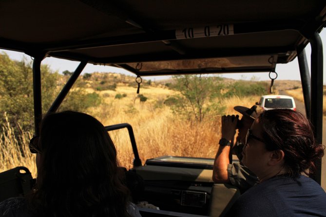 Full Day Pilanesberg Experience in Open Vehicle - Key things to know before you go