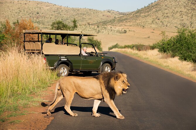 Full Day Pilanesberg Experience in Open Vehicle - Lunch inside the reserve: food break with less wasted time