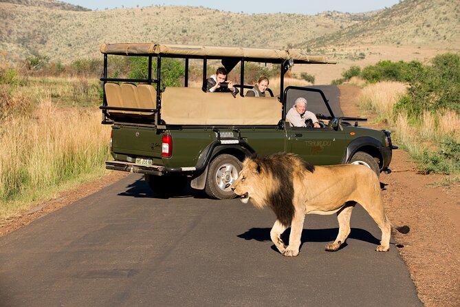 Full Day Pilanesberg Experience in Open Vehicle - Big Five expectations: how to think about success on safari