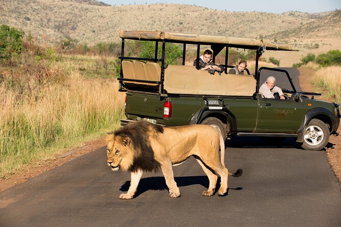 Full Day Pilanesberg Experience in Open Vehicle - Value for money: what $137.74 buys you