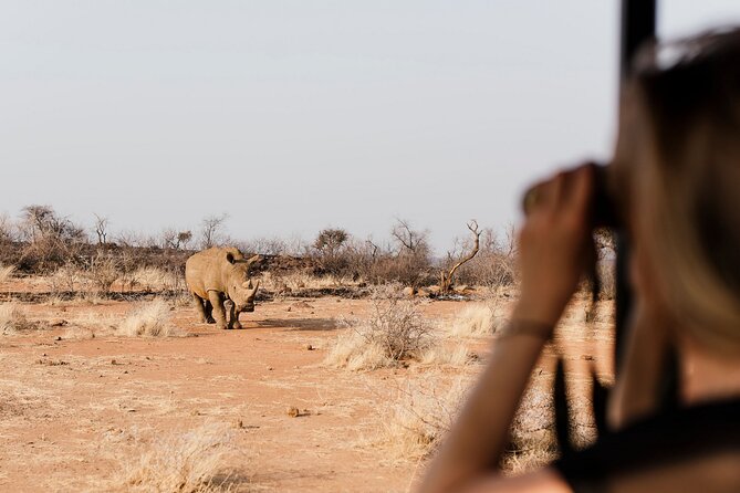 Full Day Pilanesberg Safari Adventure - Key highlights you’ll actually feel during the day