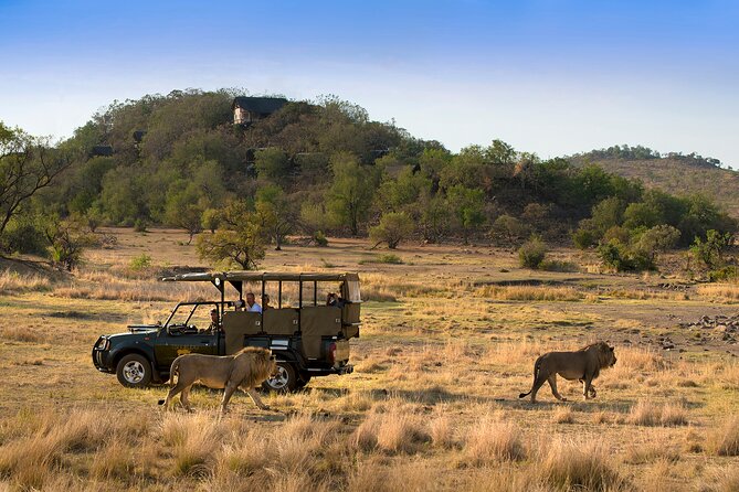 Full Day Pilanesberg Safari Adventure - Pilanesberg safari day: the Johannesburg-friendly Big Five escape