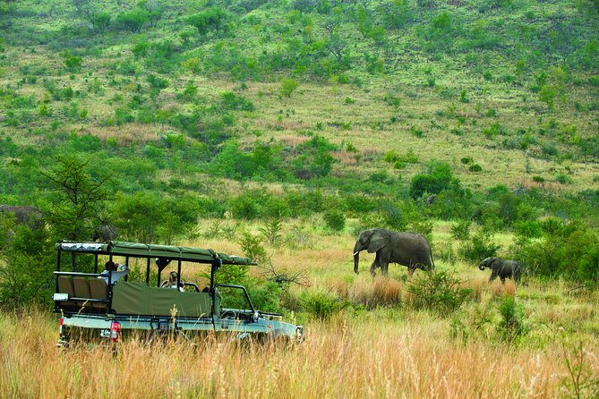 Full Day Pilanesberg Safari Adventure - Lunch in the reserve: the break that keeps the day enjoyable