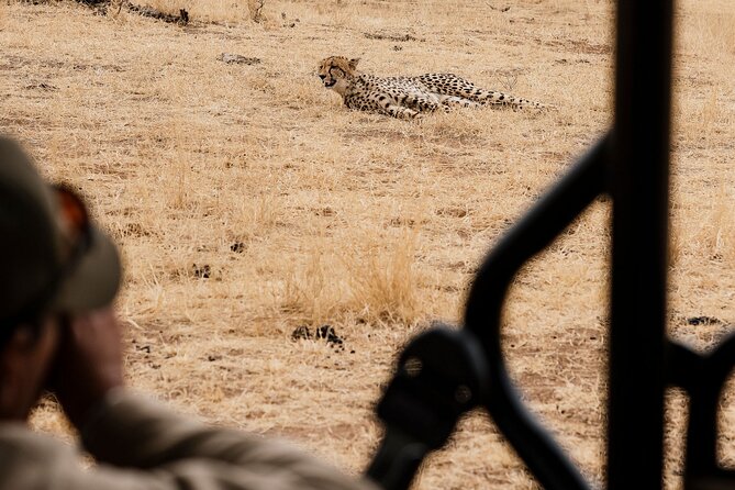 Full Day Pilanesberg Safari Adventure - The guide factor: why Tumi and Elvis-style expertise changes everything