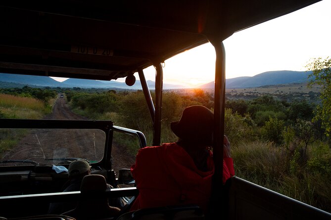 Full Day Pilanesberg Safari Adventure - Who should book this Pilanesberg adventure (and who should think twice)