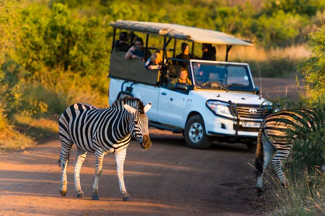Full Day Pilanesberg Safari Adventure - Getting started at Bakubung Gate or Sun City Resort (and why that matters)