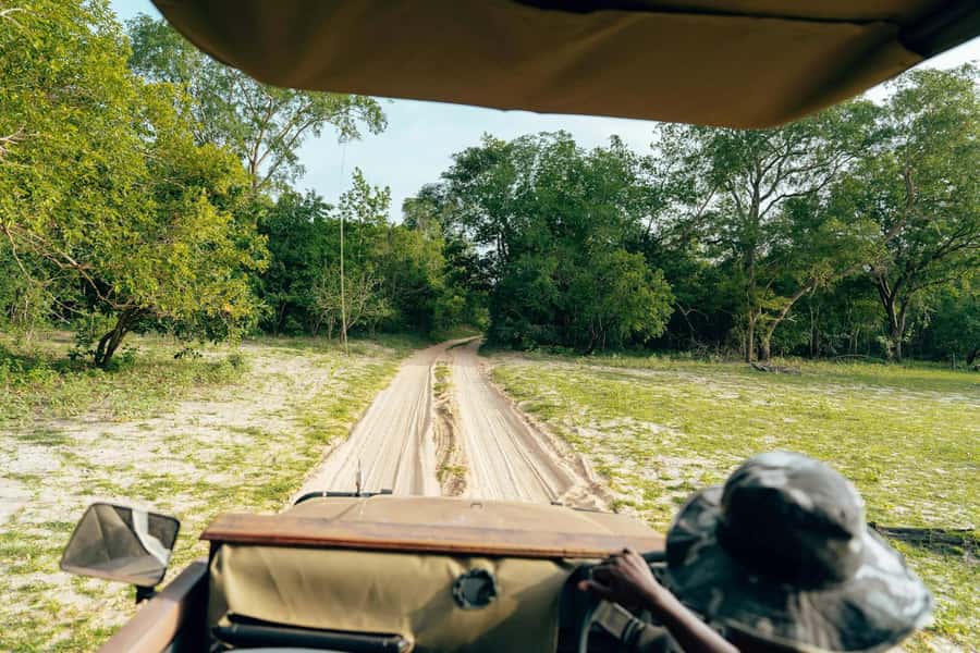 Full-Day Pilanesberg Safari from Sun City - Key highlights you’ll care about
