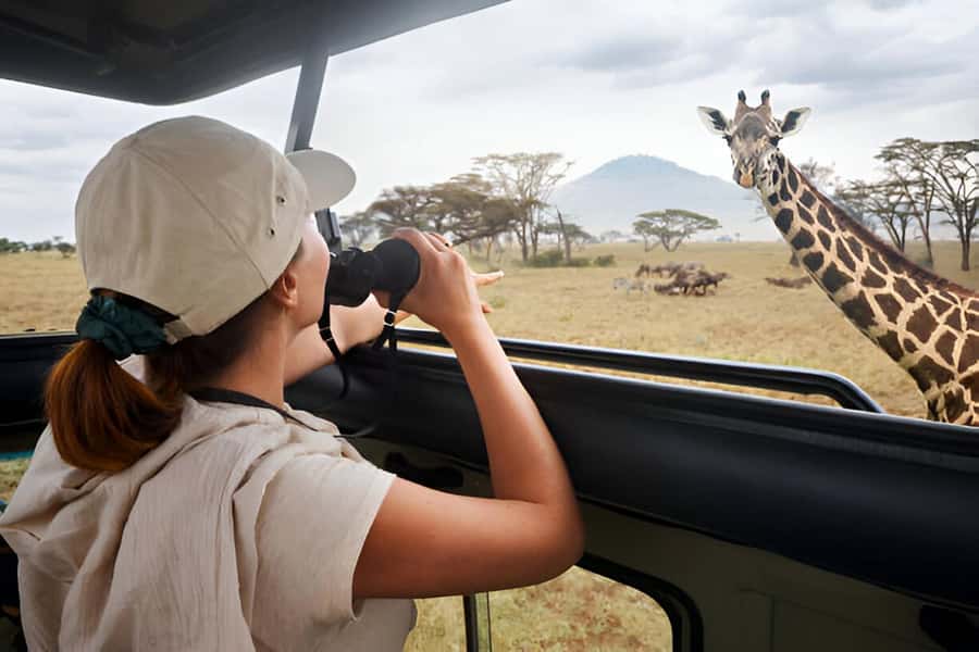 Full-Day Pilanesberg Safari from Sun City - Sun City to Pilanesberg, the “worth the drive” kind of safari day
