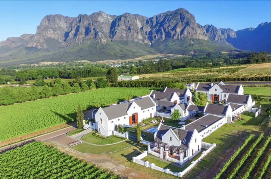 Full-Day Private: Best of the Cape - How the Day Flows Through Cape Town’s Top Anchors