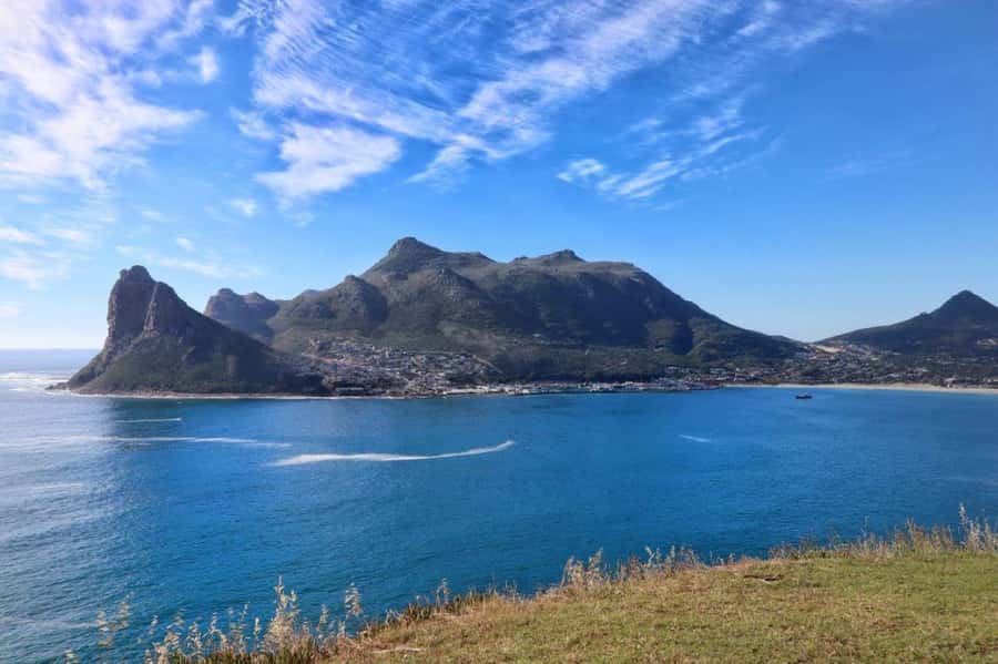 Full-Day Private: Best of the Cape - Price and Logistics: Where the True Value Comes From