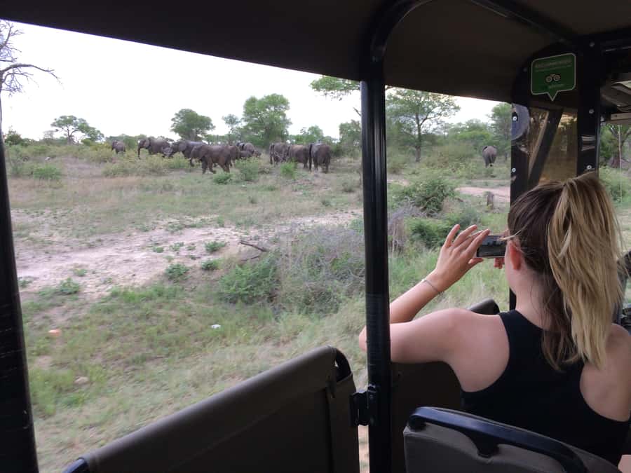 Full-Day Private Big 5 Safari in Kruger National Park - Key points before you go