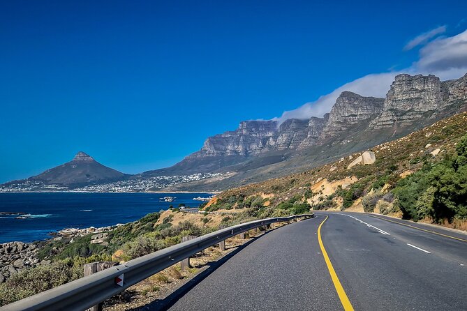 Full Day Private Cape Peninsula and Boulders Beach Tour - The Seal Island part of the day: seeing wildlife with context