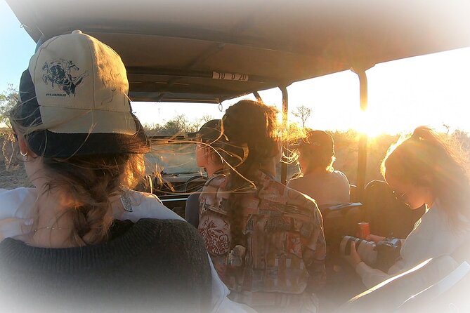 Full Day Private Kruger Park Safari - A Full Day in Kruger, Timed for the Best Animal Action