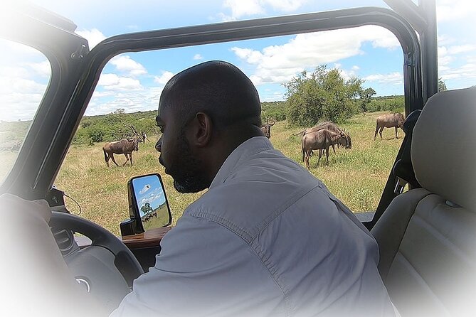 Full Day Private Kruger Park Safari - Brunch at the Picnic Site, Then Lunch at Your Own Pace