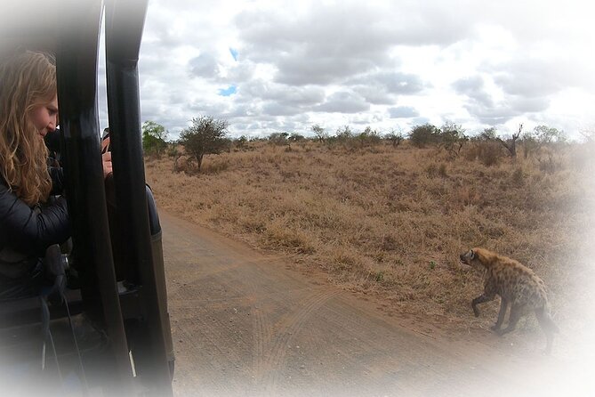 Full Day Private Kruger Park Safari - What Your Guide Adds, Especially When the Day Gets Wild