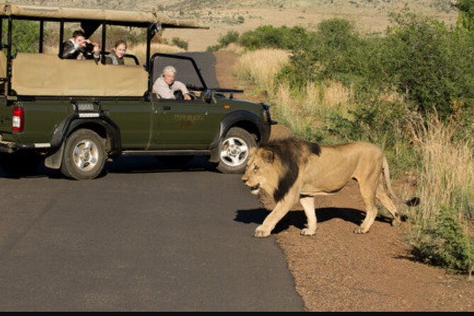 Full Day Safari Tour of Pilanesberg National Park, Open Jeep experience - Comfort and photo tips for an open jeep day