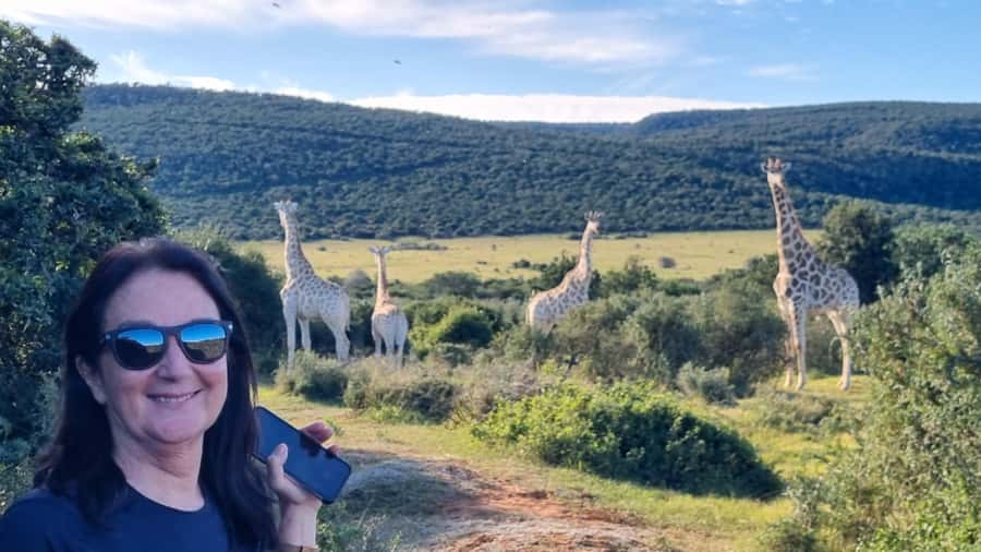 Full-Day Schotia Game Reserve & Giraffe Walk (Open 4x4) - Key highlights to look for