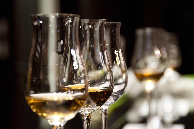 Full-Day Stellenbosch, Franschhoek and Paarl Wine Tasting Tour from Cape Town - Marianne Wine Estate: Wine and Cheese, Plus a Cellar Tour