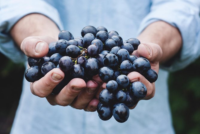 Full-Day Stellenbosch, Franschhoek and Paarl Wine Tasting Tour from Cape Town - Paarl, Mandela, and Laborie: The Final Tasting With Context