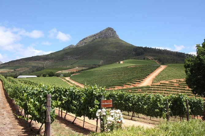 Full-Day Stellenbosch, Franschhoek and Paarl Wine Tasting Tour from Cape Town - Wine Tasting Reality Check: How to Get the Best Day From Three Stops