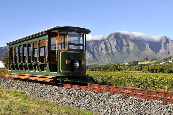 Full-Day Stellenbosch, Franschhoek and Paarl Wine Tasting Tour from Cape Town - The 8:00 AM Start: How the Morning Sets the Tone