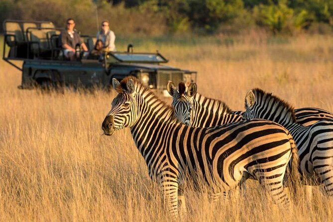 Full Day -Tala Game Reserve, Natal Lion Park, Phezulu From Durban - What You Actually Get for the Price (and Where Value Depends on the Day)