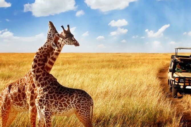 Full Day -Tala Game Reserve, Natal Lion Park, Phezulu From Durban - How to Pick This Tour If You Want More Than a Quick Animal Peek
