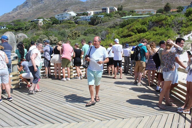 Full-Day Tour to Cape Point and Cape of Good Hope - Cape of Good Hope: fynbos birds, cliffs, and the chance of wild animals