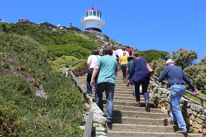 Full-Day Tour to Cape Point and Cape of Good Hope - Price and value: what $92.35 buys, and what costs extra