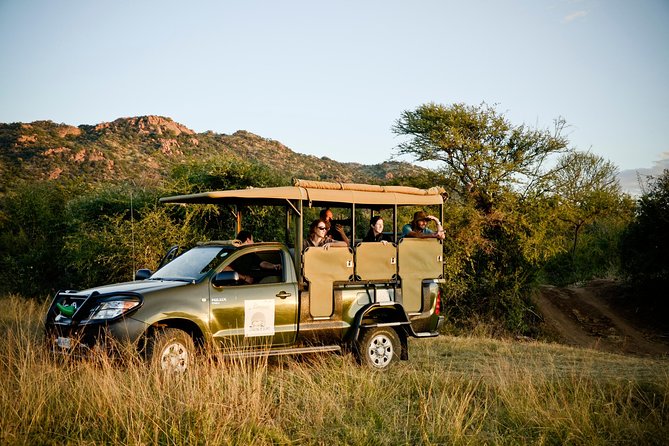Full Day Ultimate Pilanesberg National Park Safari from Johannesburg or Pretoria - The first open-vehicle drive: when you have the freshest energy
