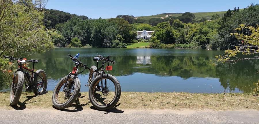 Full-Day Winelands E-Bike Tour with Wine Tasting & Lunch - First wine tasting: 3 to 4 wines and Méthode Cap Classique