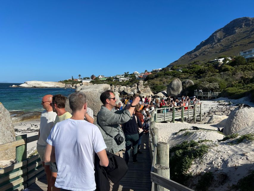 Fully Day Cape Of Good Hope, Penguins, Bo Kaap , Seals Tour - Cape of Good Hope: Currents, Viewpoints, and Short Guided Walking