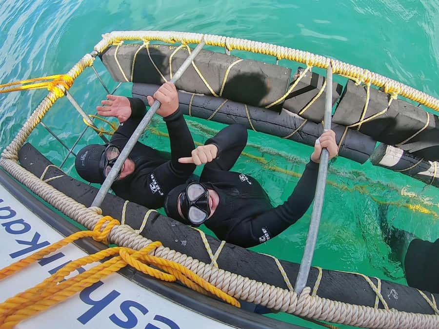 Gansbaai: Shark Cage Diving and Shark Viewing Boat Trip - Kleinbaai meeting point and how the morning runs