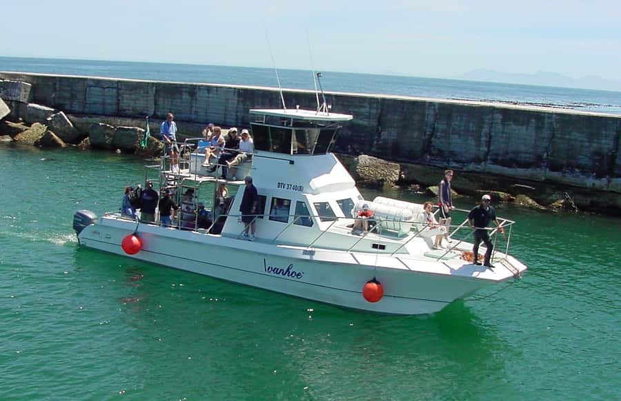 Gansbaai: Whale Watching Trip by Boat - Getting to Buitekant St and starting on the right foot