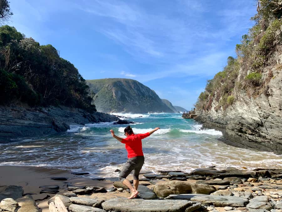 Garden Route and Addo Elephant National Park: 5-Day Safari - Optional adrenaline and sea-adjacent wildlife: how to choose wisely