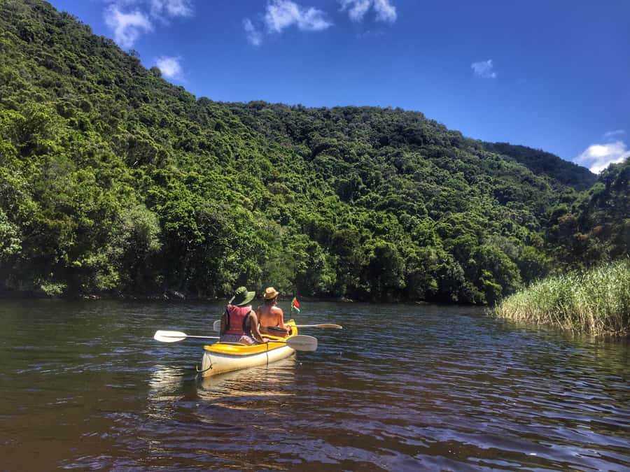 Garden Route and Addo Elephant National Park: 5-Day Safari - Day 2: Route 62 to Oudtshoorn, wine and ostriches in the Little Karoo