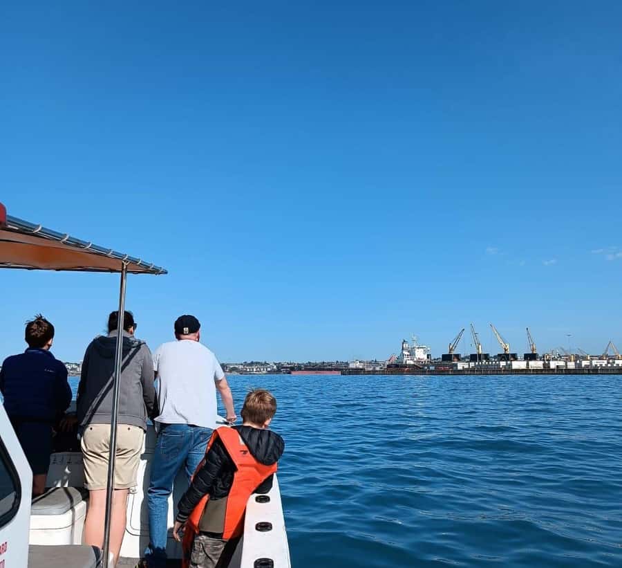 Gqeberha: 30 MINUTE HARBOUR CRUISE - Key highlights you’ll actually notice