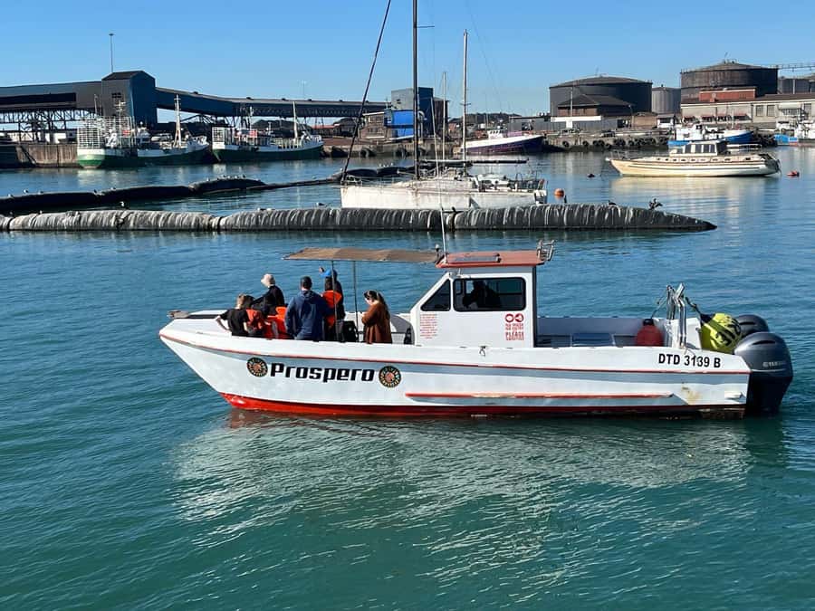 Gqeberha: 30 MINUTE HARBOUR CRUISE - The guide-led safety and ship basics that make the cruise feel practical