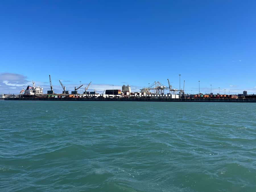 Gqeberha: 30 MINUTE HARBOUR CRUISE - Price and value: why $18 can be a good deal for the right kind of traveler