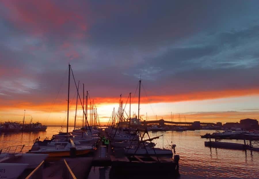 Gqeberha: 30 MINUTE HARBOUR CRUISE - Practical tips before you go: what to wear, bring, and leave at home