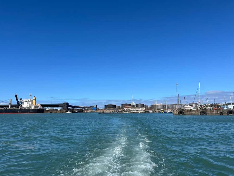 Gqeberha: 30 MINUTE HARBOUR CRUISE - Should you book the 30-minute harbour cruise?