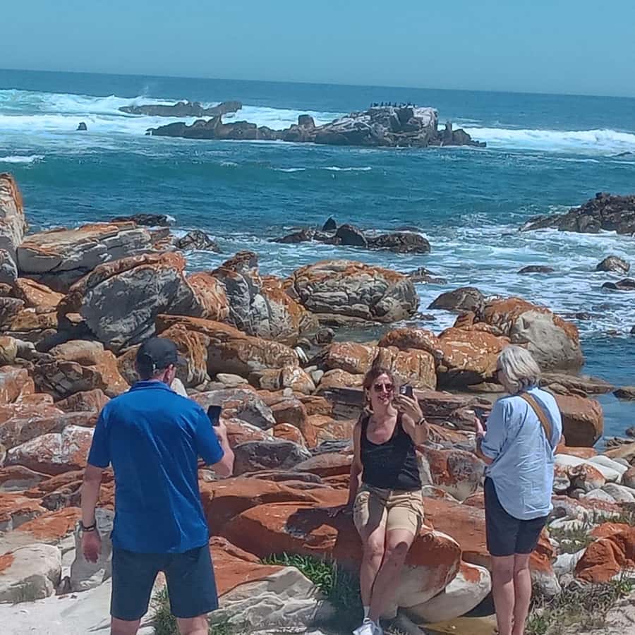 Gqeberha: City Highlights Car and Walking Tour - Donkin Reserve and the Port Elizabeth story you can picture