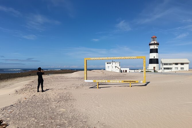 Guided Port Elizabeth Coastal Tour - Quick Take
