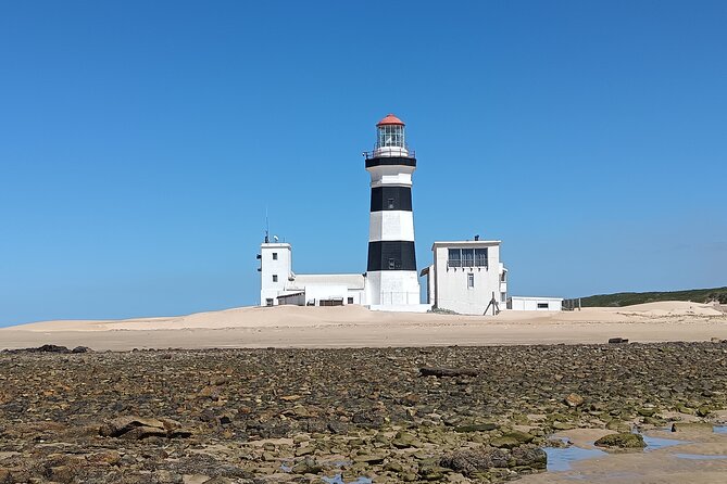 Guided Port Elizabeth Coastal Tour - From Shark Rock Pier to SANCCOB Penguins