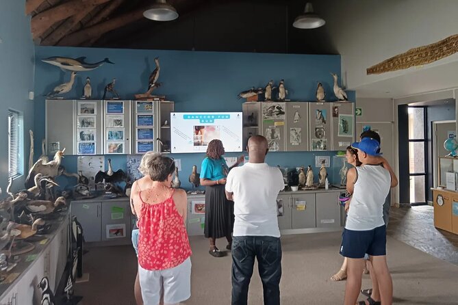 Guided Port Elizabeth Coastal Tour - What to Bring, What to Wear, and How to Make It Enjoyable